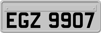 EGZ9907