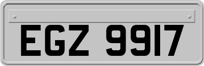 EGZ9917