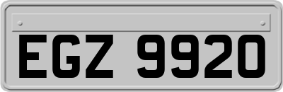 EGZ9920