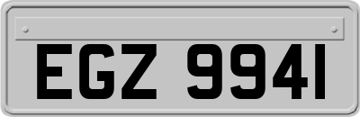 EGZ9941