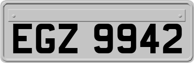 EGZ9942