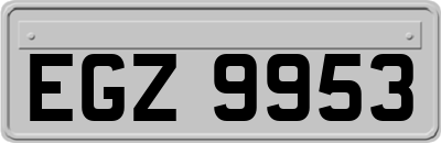 EGZ9953