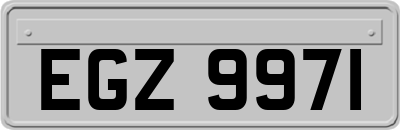 EGZ9971