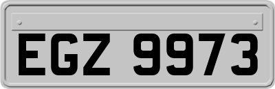 EGZ9973