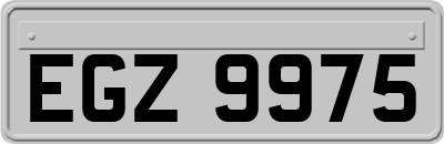 EGZ9975