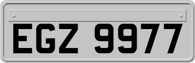 EGZ9977