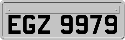 EGZ9979