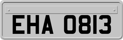 EHA0813