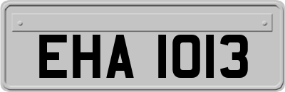 EHA1013