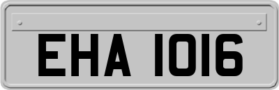 EHA1016