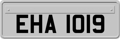 EHA1019