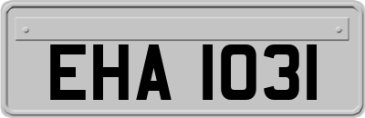 EHA1031