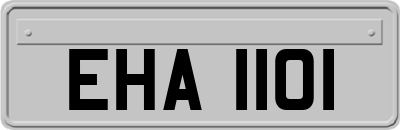 EHA1101