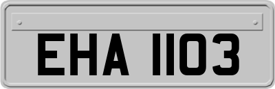 EHA1103