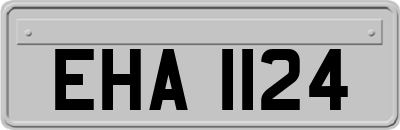 EHA1124