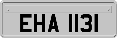 EHA1131