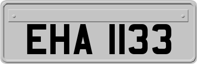 EHA1133