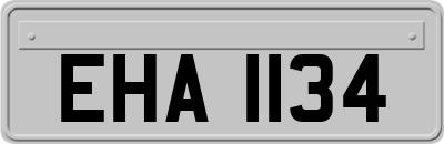 EHA1134