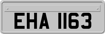 EHA1163