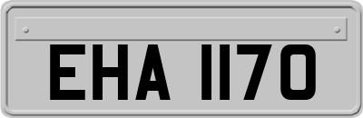 EHA1170