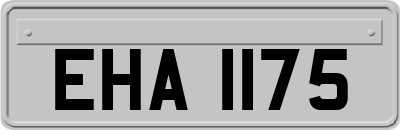 EHA1175