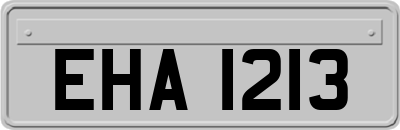 EHA1213