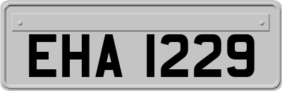EHA1229