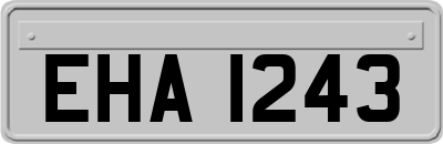 EHA1243