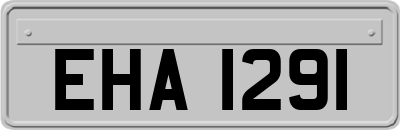 EHA1291