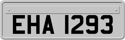 EHA1293