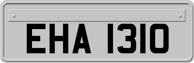 EHA1310
