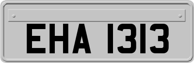 EHA1313