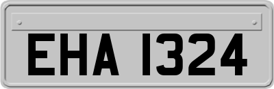 EHA1324