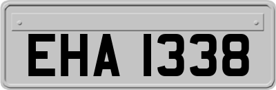 EHA1338