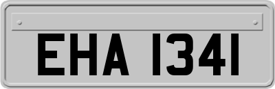 EHA1341