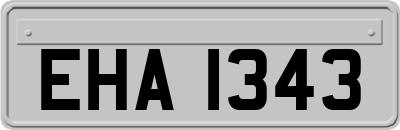 EHA1343