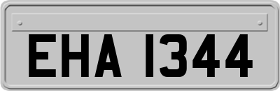 EHA1344