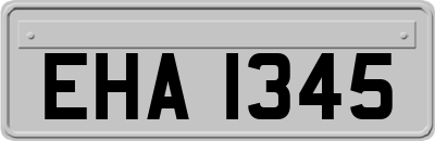 EHA1345