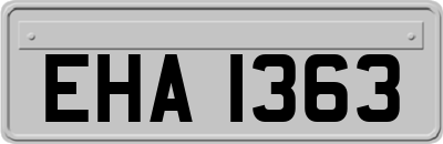 EHA1363