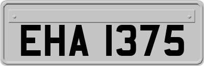 EHA1375