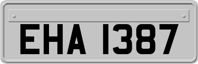 EHA1387