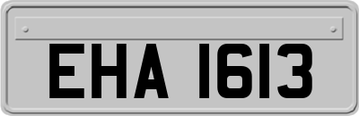 EHA1613