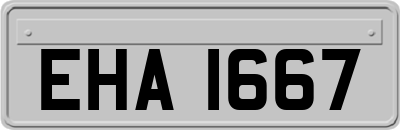 EHA1667