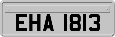 EHA1813