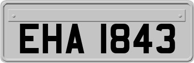 EHA1843