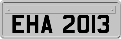 EHA2013