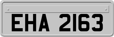 EHA2163