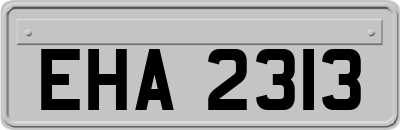 EHA2313