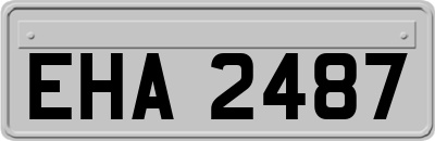 EHA2487