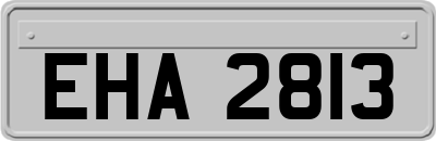 EHA2813